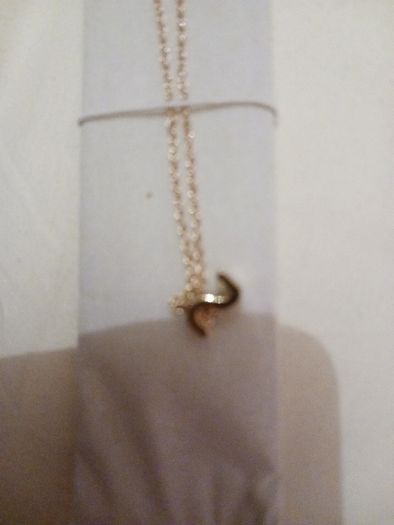 Inital S pendant and chain