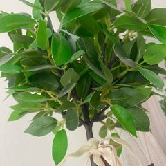 ShabbyChic Greenery in Planter