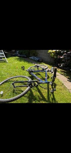 mens bicycle collection today 8th
