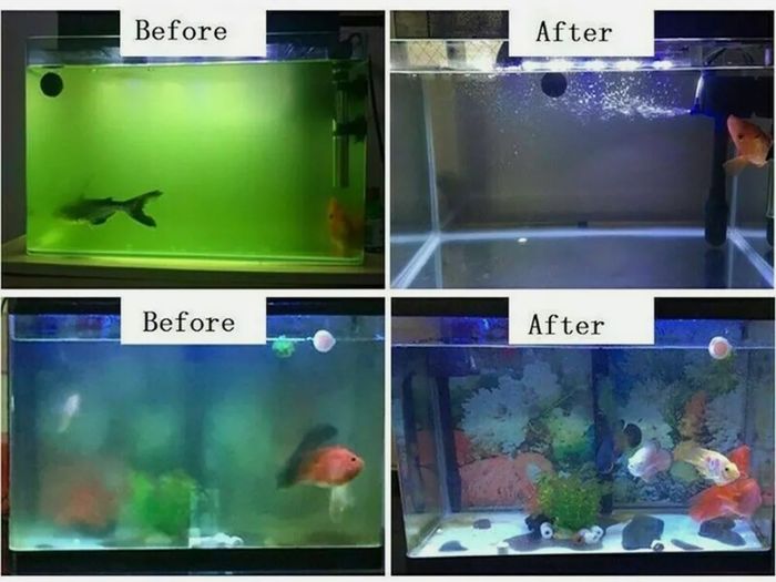 Fish tank UV Sterilizer