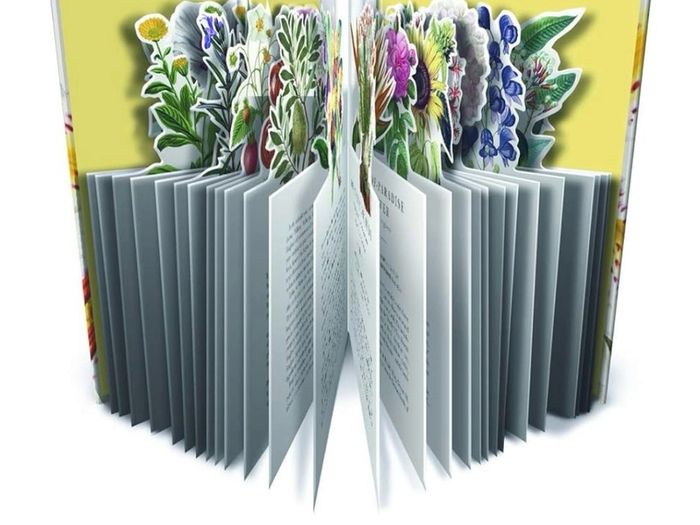 The Flower Garden: The Book that Transforms into a Work of Art