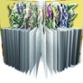 The Flower Garden: The Book that Transforms into a Work of Art Image 4