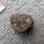 Meteorite Sericho pallasite 18.3g Image 4