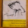 O Ghaillimh Go Ceann Boirne. An Introduction To Burrenology. Regional Technical College Galway. Image 8