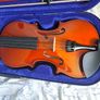 Leonardo Fiddle Image 2