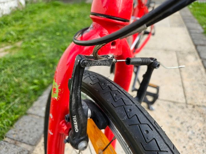 Frog 55 Bike