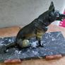 Antique French bronze Alsatian German Shepherd statue by Rochard 1930s Image 8