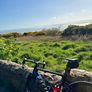 Factor Ostro VAM Ultegra Di2 Carbon Aero Road Bike, Size 52, Raw Carbon Chrome Image 3