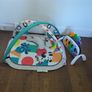baby Einstein play gym Image 3