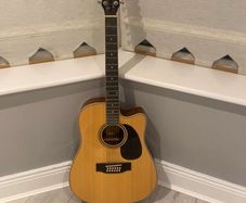 12 string acoustic guitar