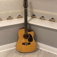 12 string acoustic guitar