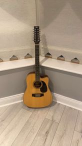 12 string acoustic guitar