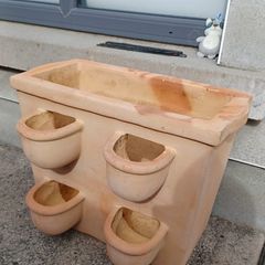Terracotta strawberry planter