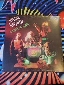 Haitus Kaiyote Canopic Jar 12 inch Single Vinyl new sealed!