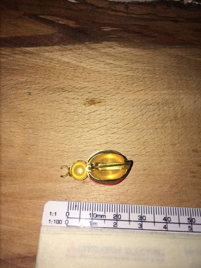 Brooch
