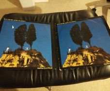 Elvis Costello Goodbye cruel world lps