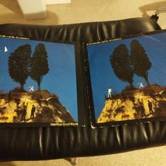 Elvis Costello Goodbye cruel world lps