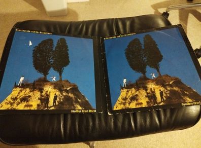 Elvis Costello Goodbye cruel world lps