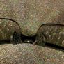 Men's ATTCL Sunglasses Trio - New Image 9