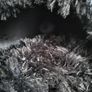 cat bed Image 3