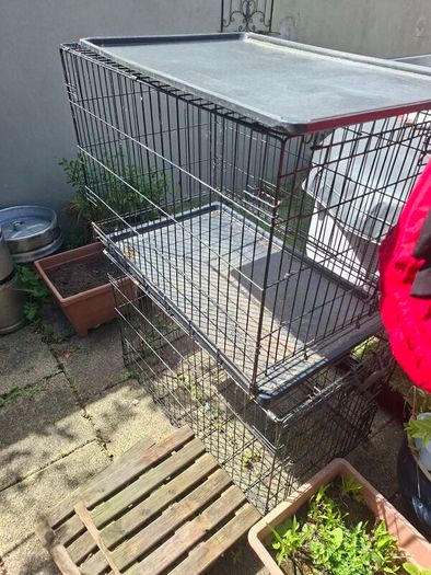 dog crate