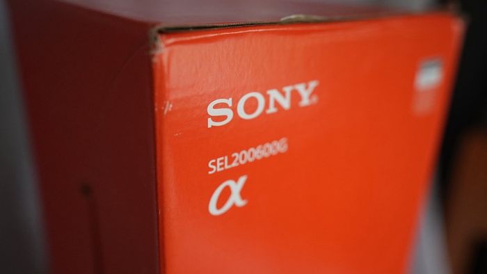 Sony FE 200-600mm f/5.6-6.3 G OSS Lens