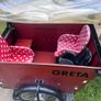 Babboe Big Cargo Bike Image 3