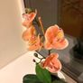 Artificial orchid Image 2