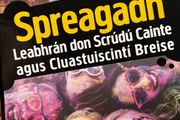 Spreagadh workbook, new