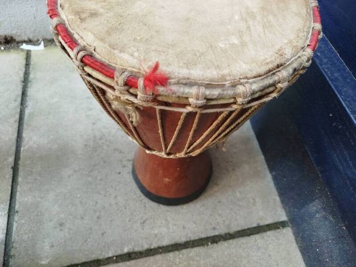 Bongo Drum