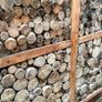 timbers Image 2
