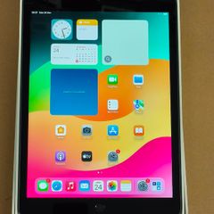 Apple iPad 9th Gen 10.2" 256GB  WiFi Space Grey