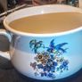Royal Art Pottery chamber pot Image 2