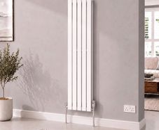 Vertical double radiator brand new (paint damaged in transport)