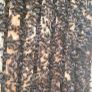 Nucs of Bees Image 2