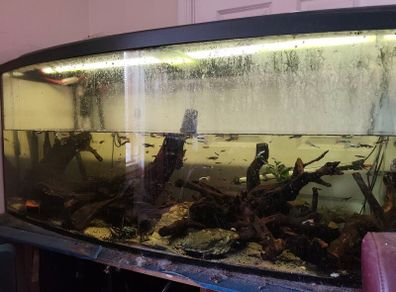 Selling 450-liter aquarium with stand, filter, heater, lighting unit, rocks, 4 pieces of wood, and 2 wave pumps