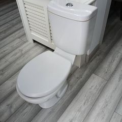 toilet