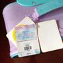 Disney Frozen hand luggage Image 3