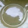 Vintage circular Maling ware leaf shaped salad bowl,  green Malingware mark, 8 1/2" with spoon Image 3