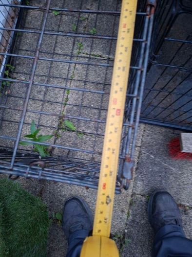 dog crate