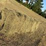 Small Square Bales of Hay Image 2