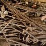 Shuttering bars Image 2