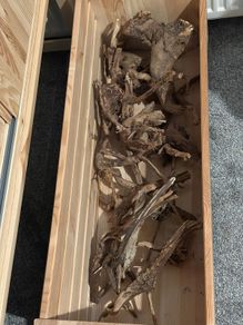 Red Moor Wood/Azalea Wood