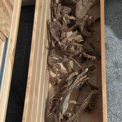 Red Moor Wood/Azalea Wood