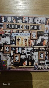 Puddle Of Mudd - Life On Display.