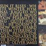 FLEET FOXES Limited Edition original double green vinyl record in nm Cindy Image 2