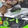 Evolution table saw Image 2