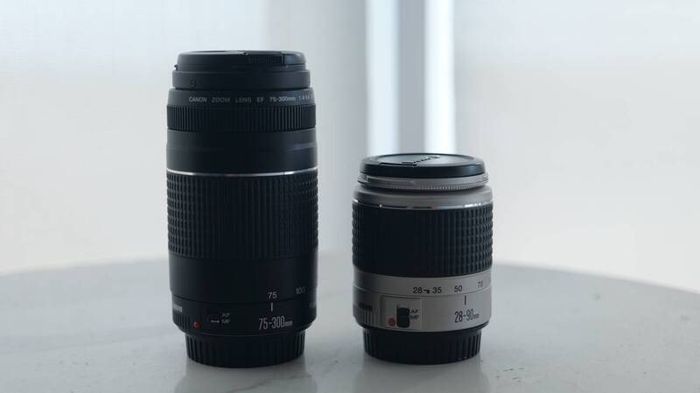Canon EF lens: 28-90 and 70-300