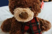 Aurora Briar Bear Plush Soft Toy Teddy Bear Brand New