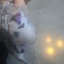 HQG1C Batty Boo Spooky Edition Holiday Collection HTF Halloween like MLP G1 My Little Pony NEW Image 4